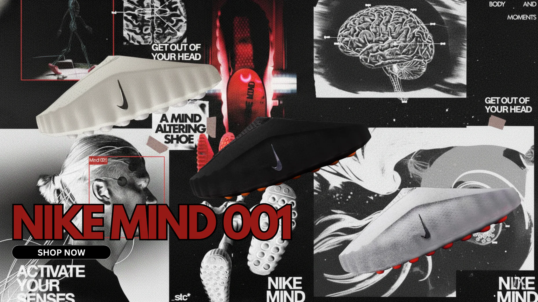 Canadaβs Ultimate Hype Haven